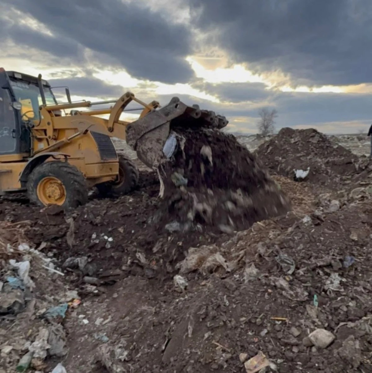 73 tondan çox toxumluq kartof məhv edilib - FOTOLAR