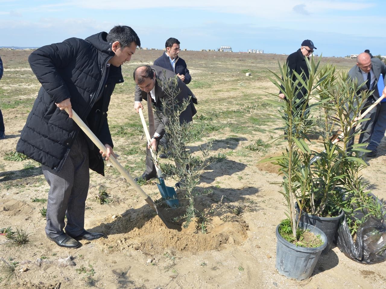 Pirallahı rayonunda ağacəkmə aksiyası keçirilib - FOTO