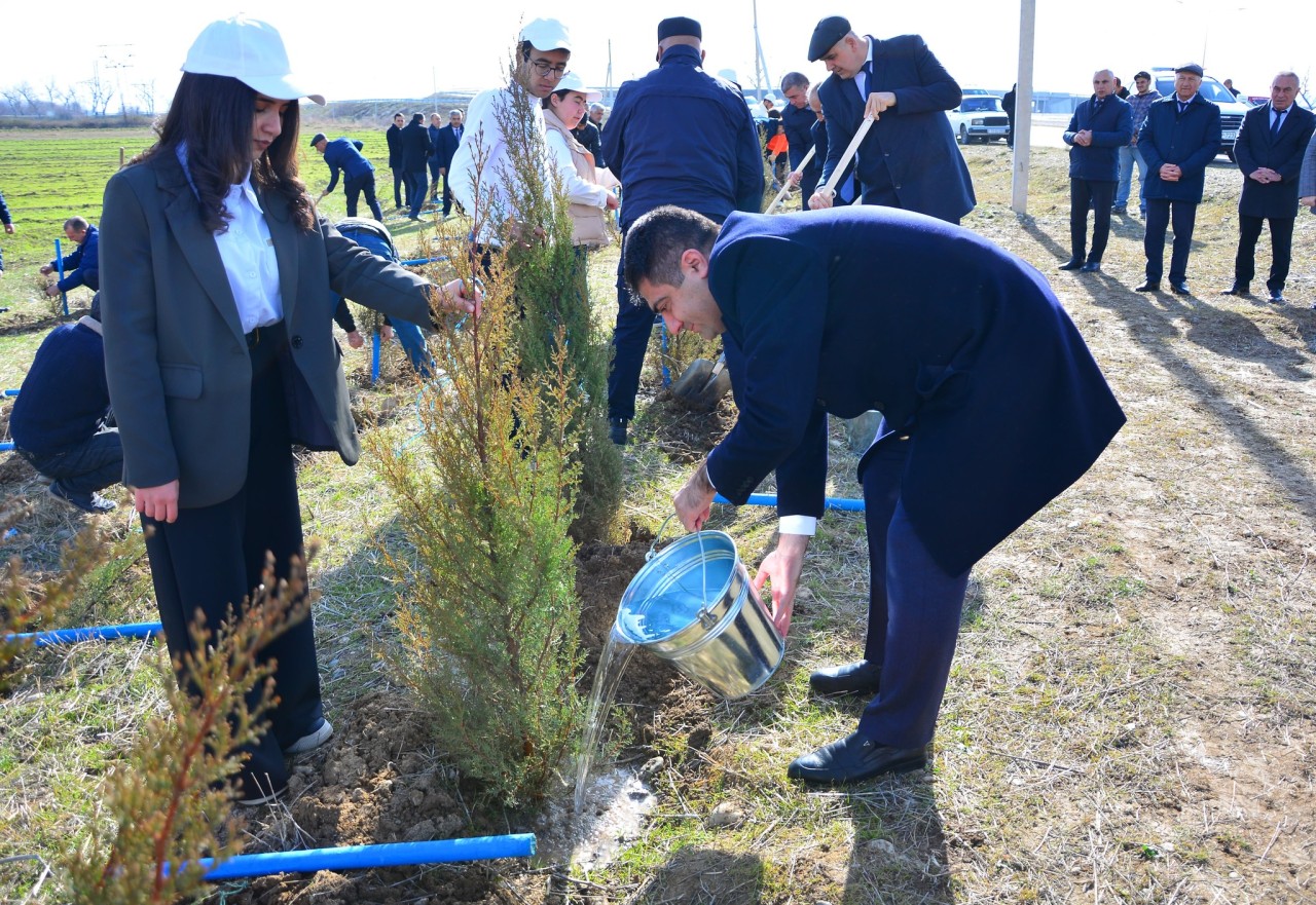 Ağstafada ağacəkmə aksiyası keçirilib - FOTOLAR