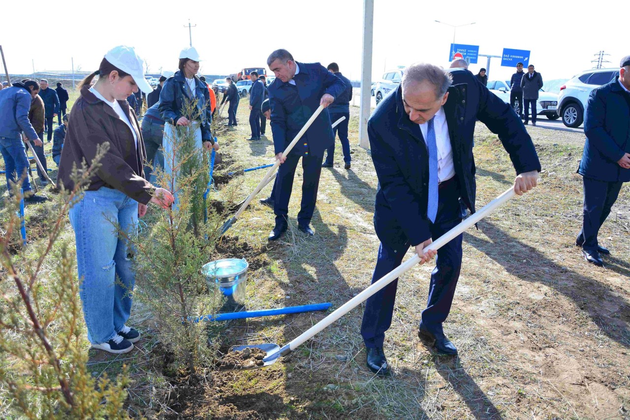 Ağstafada ağacəkmə aksiyası keçirilib - FOTOLAR