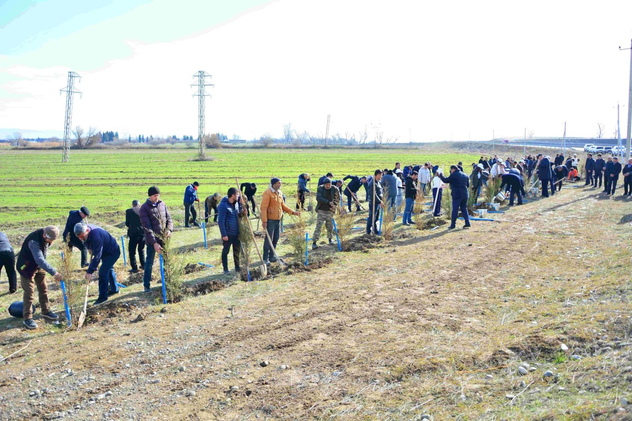 Ağstafada ağacəkmə aksiyası keçirilib - FOTOLAR