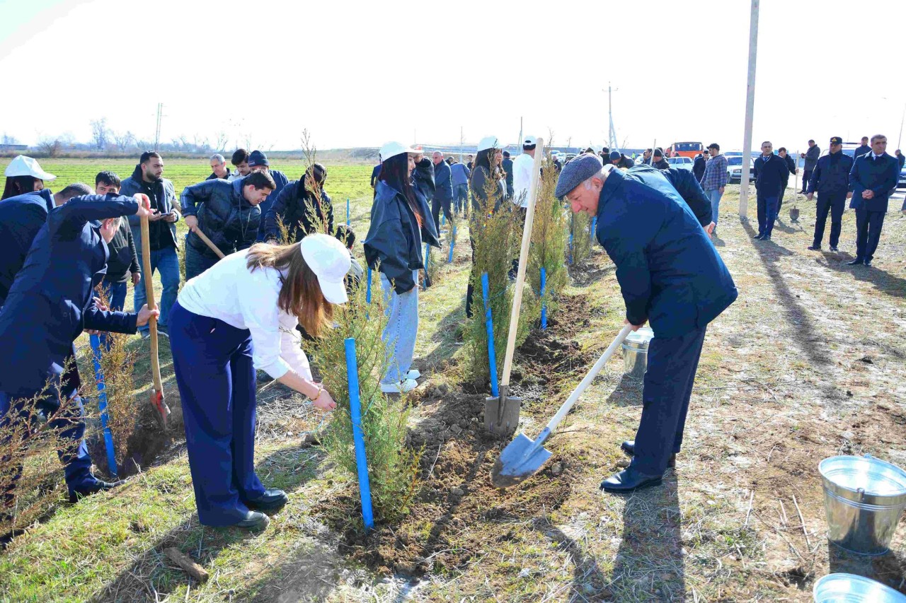 Ağstafada ağacəkmə aksiyası keçirilib - FOTOLAR