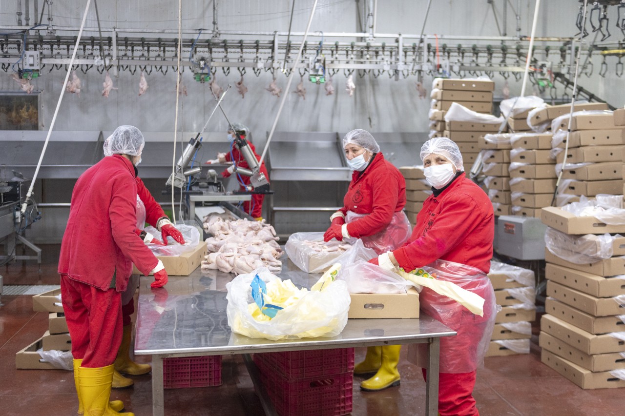 Nazir Məcnun Məmmədov quşçuluq müəssisələrinin fəaliyyəti ilə tanış oldu - FOTOLAR