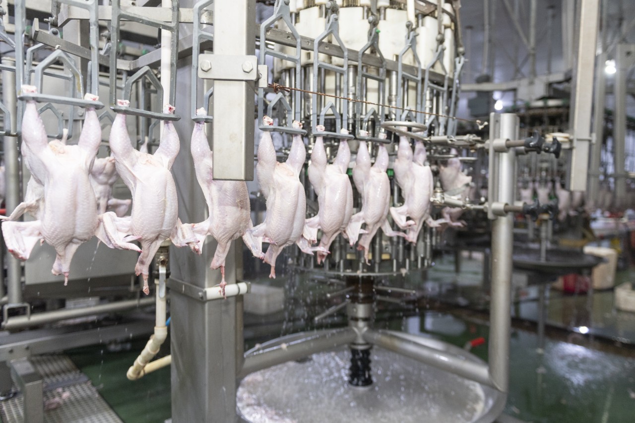 Nazir Məcnun Məmmədov quşçuluq müəssisələrinin fəaliyyəti ilə tanış oldu - FOTOLAR