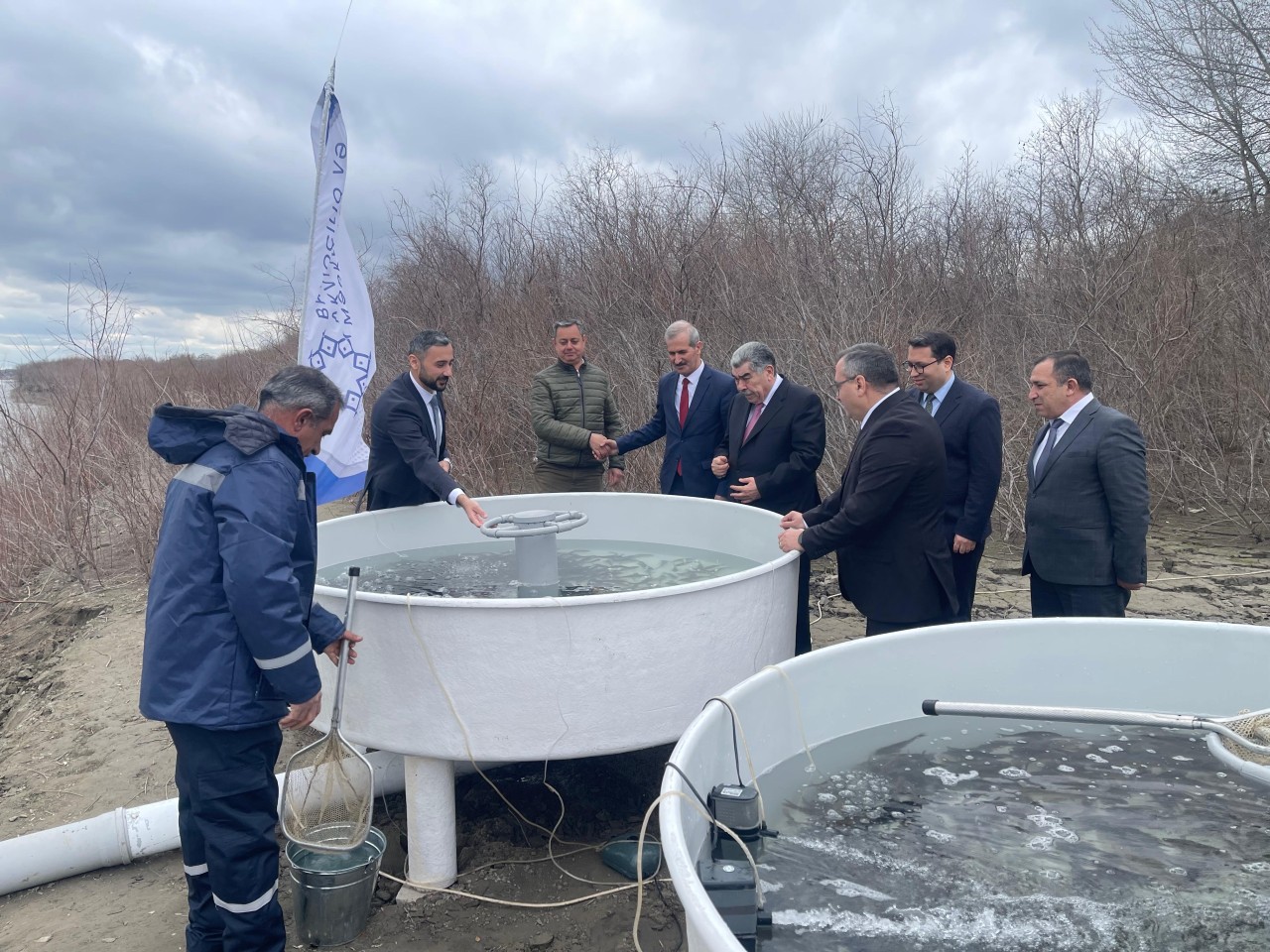 Kür çayına 4 000 ədəd balıq körpələri buraxılıb - FOTO