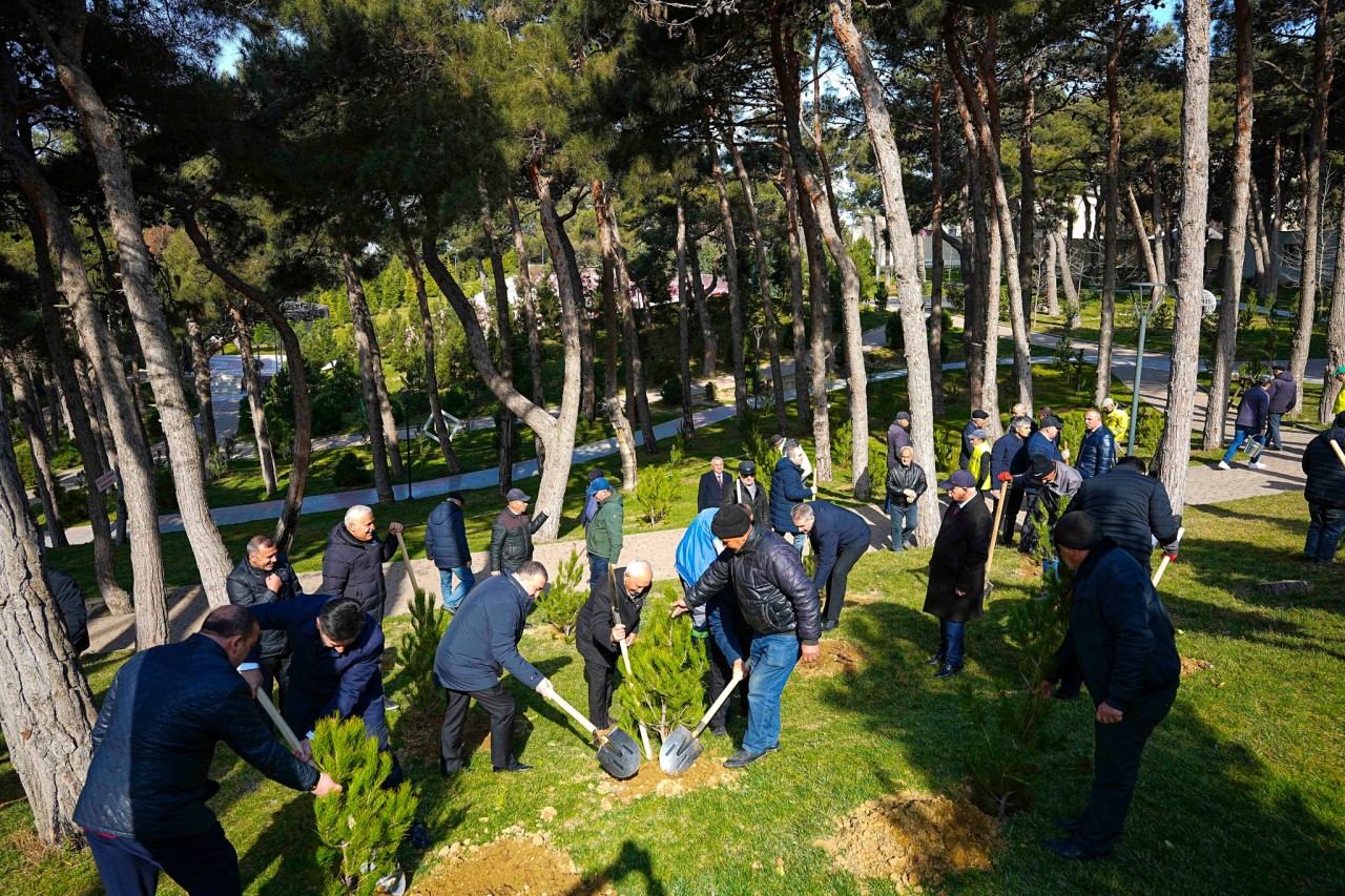 Xətai RİH ağacəkmə aksiyası keçirdi - FOTOLAR