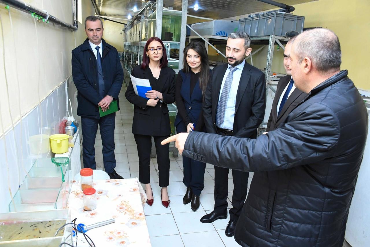 Balıqçılıq və Akvakultura Mərkəzinin nümayəndə heyəti ADAU-da - FOTOLAR