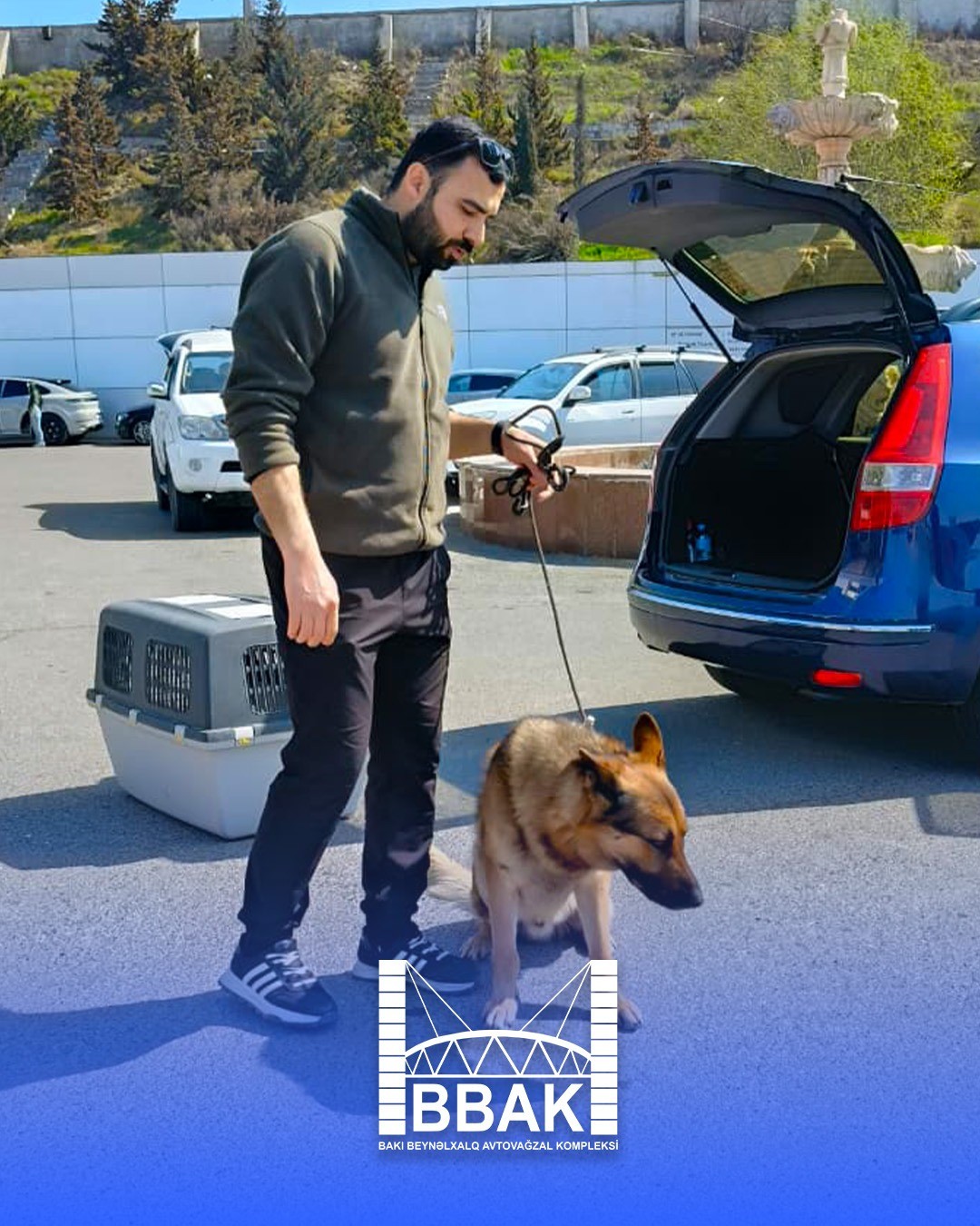 BBAK-da növbəti “DogShow” təşkil olunub - FOTOLAR/VİDEO