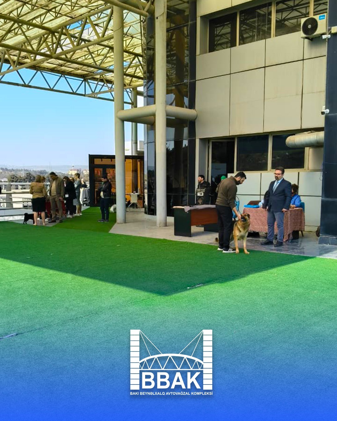 BBAK-da növbəti “DogShow” təşkil olunub - FOTOLAR/VİDEO