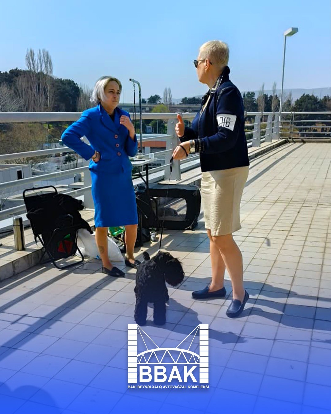 BBAK-da növbəti “DogShow” təşkil olunub - FOTOLAR/VİDEO