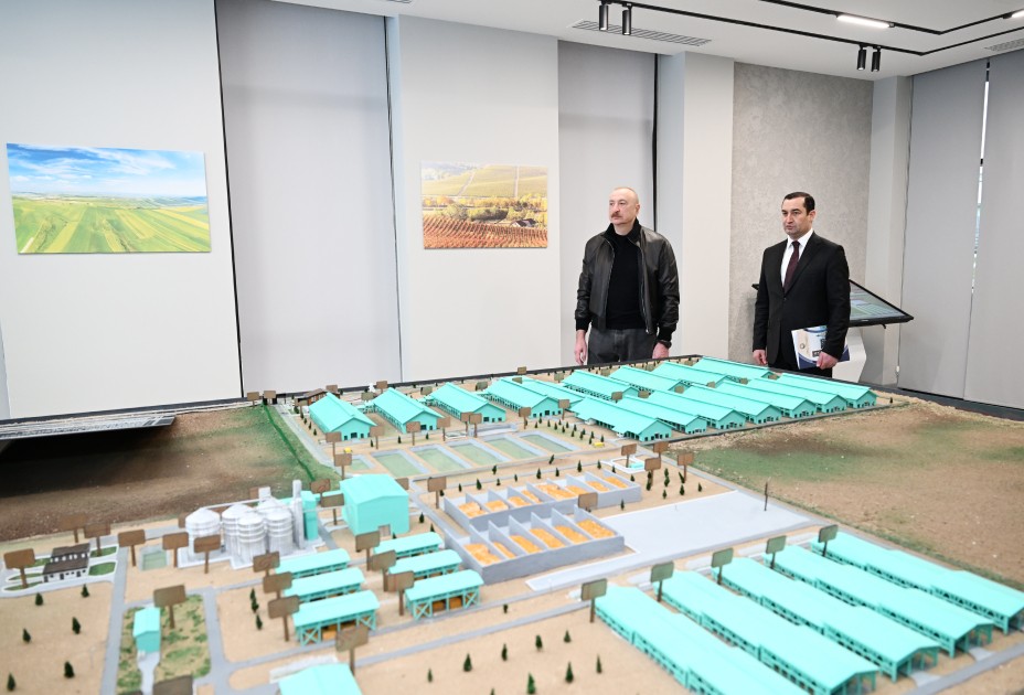 İlham Əliyev “Şirvan Aqro” heyvandarlıq kompleksinin açılışında - FOTOLAR