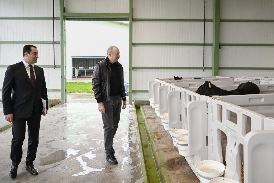 İlham Əliyev “Şirvan Aqro” heyvandarlıq kompleksinin açılışında - FOTOLAR