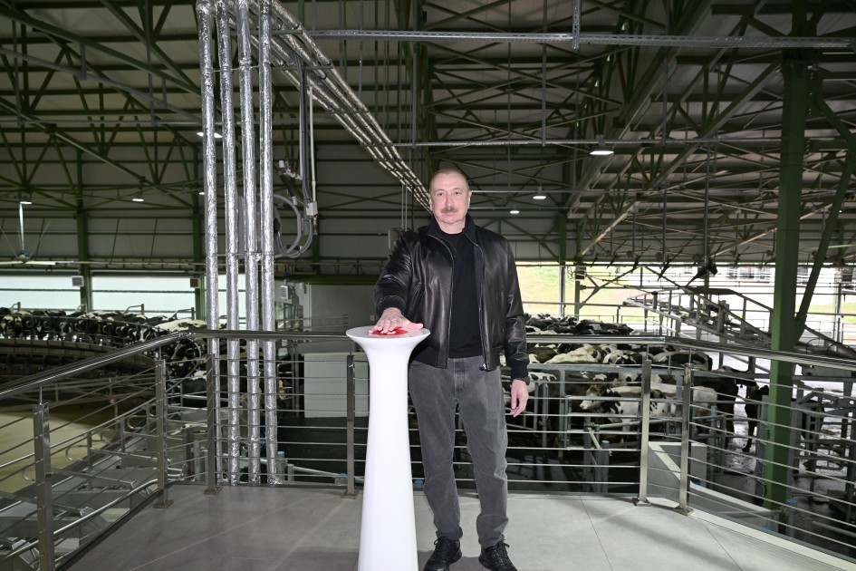 İlham Əliyev “Şirvan Aqro” heyvandarlıq kompleksinin açılışında - FOTOLAR