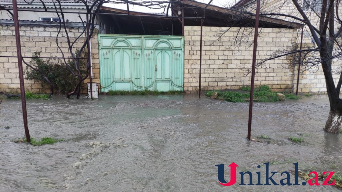 Qubada kanalizasiya suyu həyətlərə doldu - FOTO
