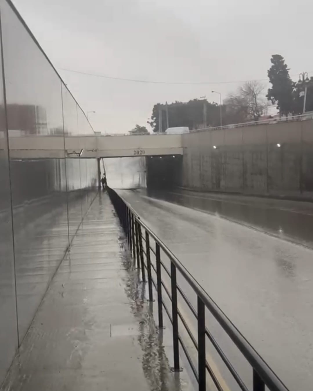 ADSEA gücləndirilmiş iş rejimində çalışır - FOTO