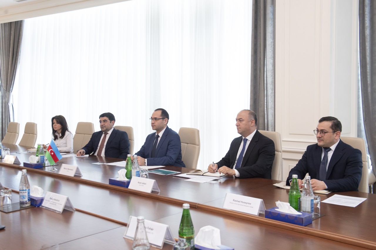 Nazir Məcnun Məmmədov Laszlo Örloş ilə görüşdü - FOTOLAR