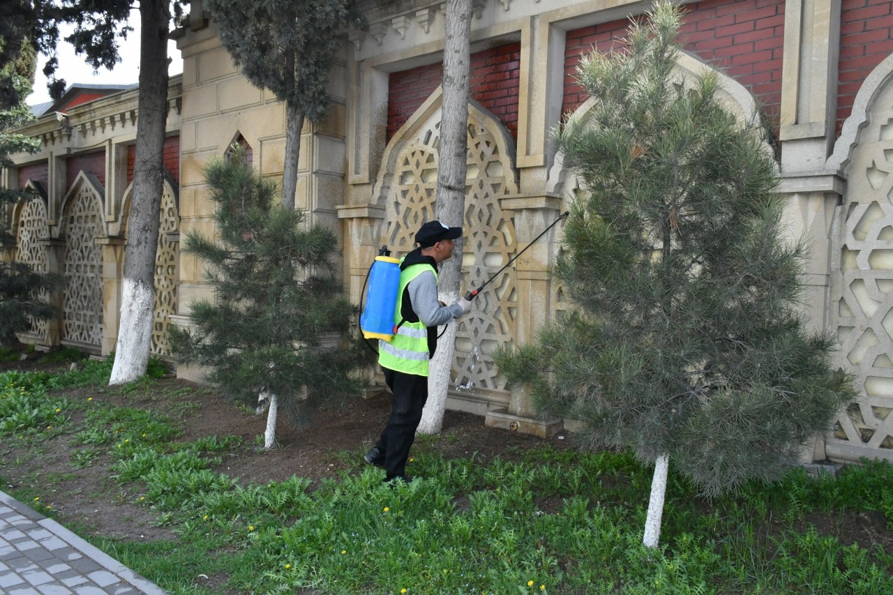 Abşeronda yağışın fəsadları aradan qaldırılır - FOTOLAR