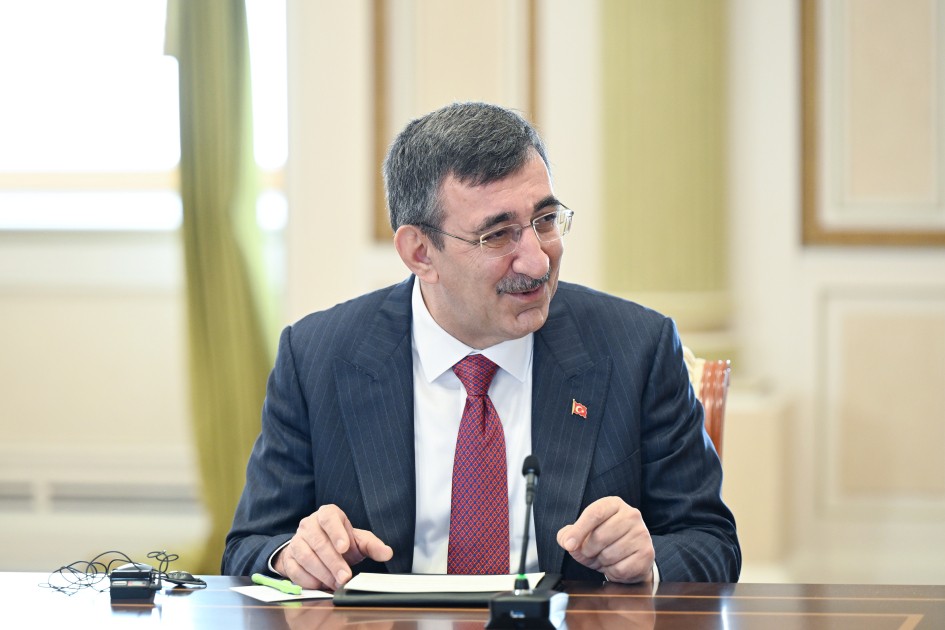 Prezident TDT-yə üzv dövlətlərin hökumət başçılarının görüşünün iştirakçılarını qəbul edib - FOTOLAR (YENİLƏNİB)