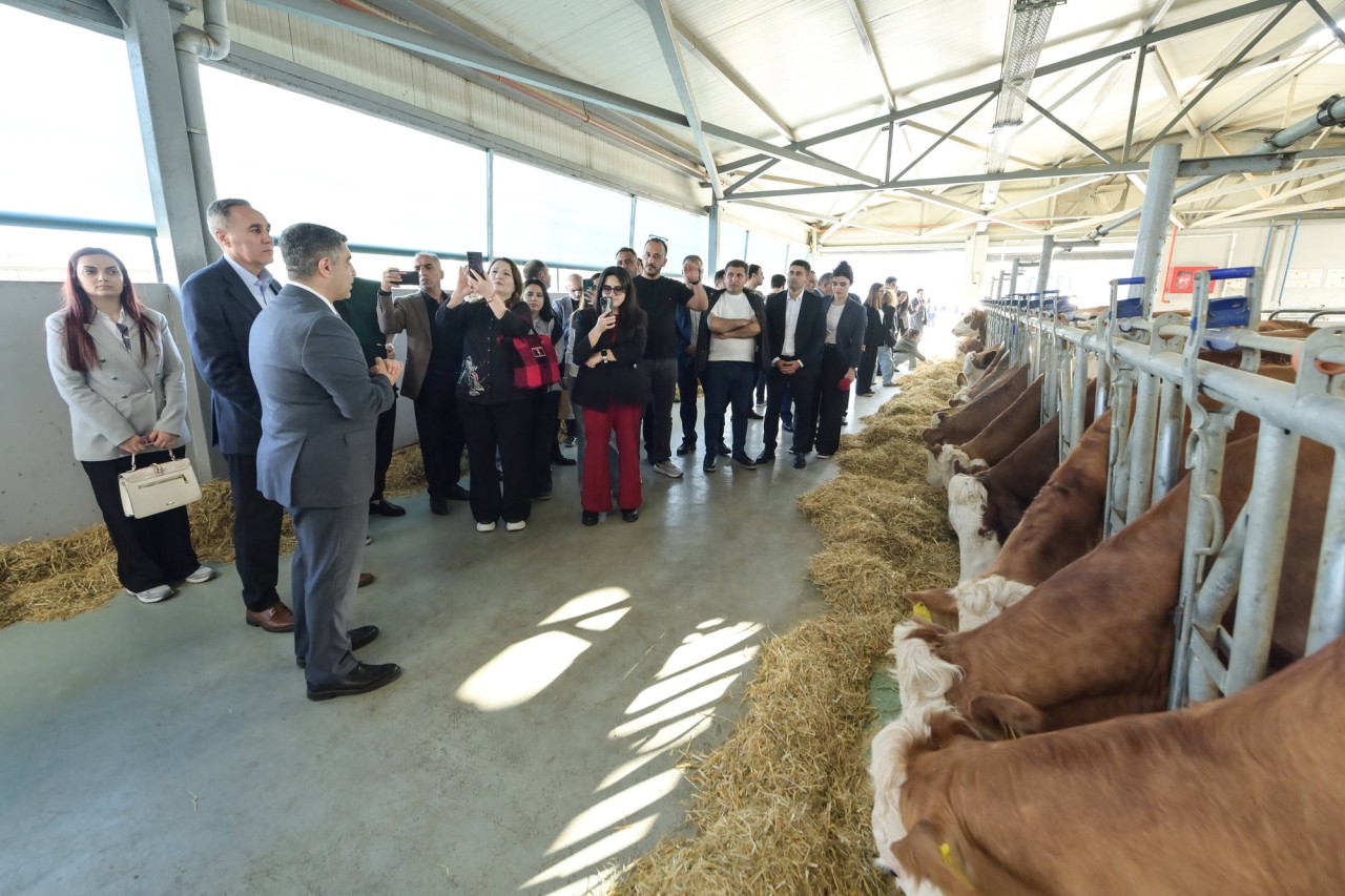 Cəlilabad Dövlət Peşə Təhsil Mərkəzinə infotur təşkil olundu - FOTOLAR