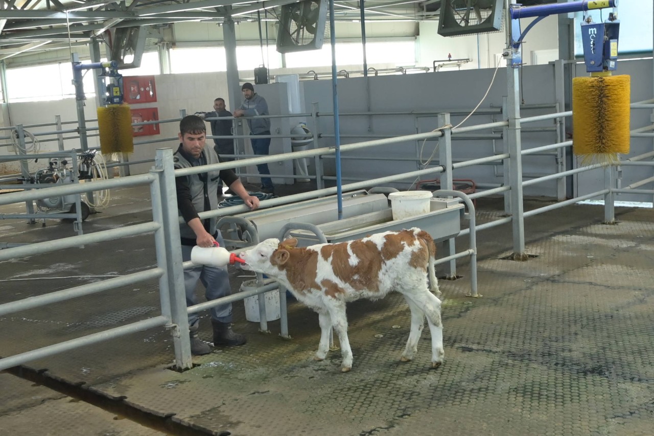 Cəlilabad Dövlət Peşə Təhsil Mərkəzinə infotur təşkil olundu - FOTOLAR