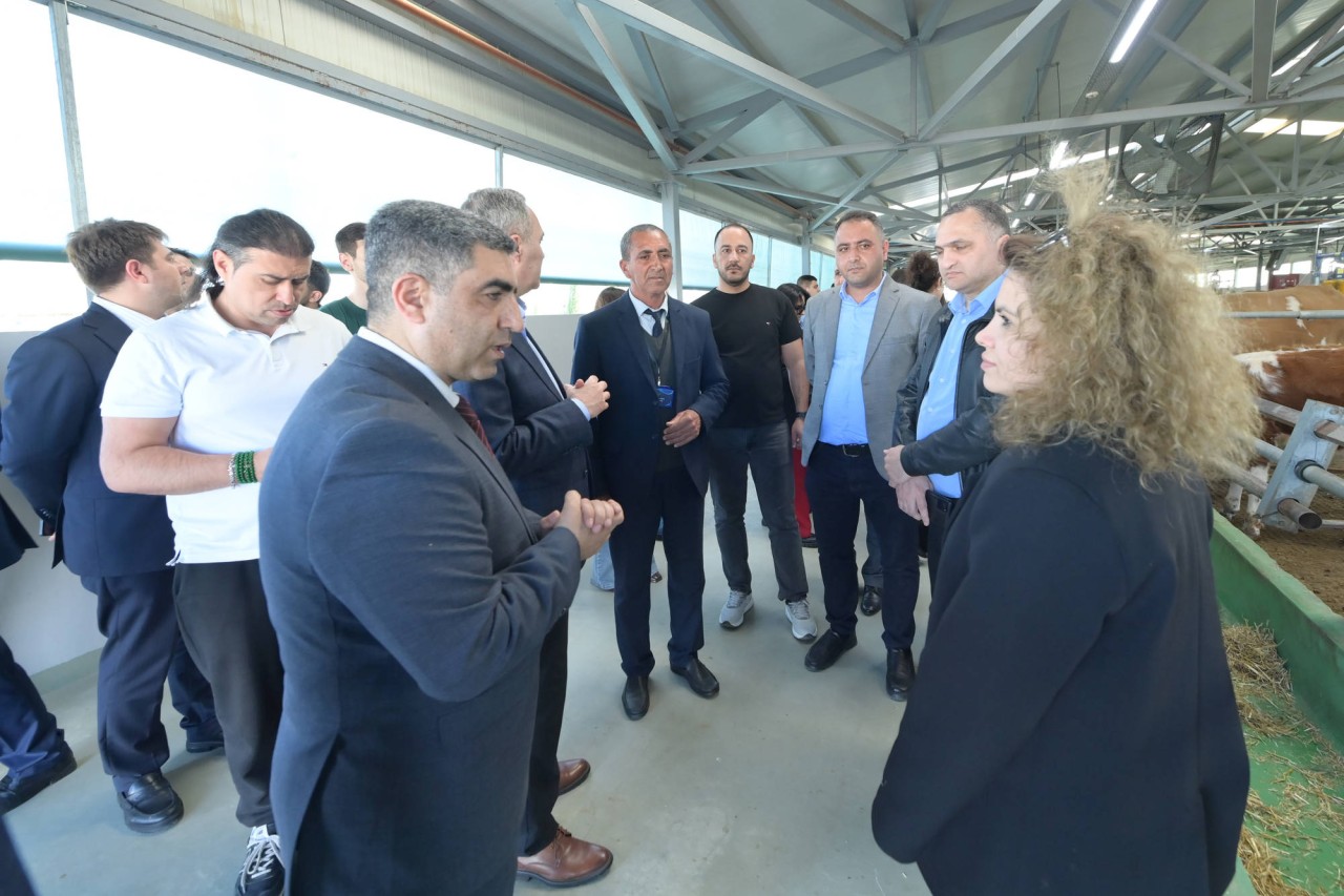 Cəlilabad Dövlət Peşə Təhsil Mərkəzinə infotur təşkil olundu - FOTOLAR