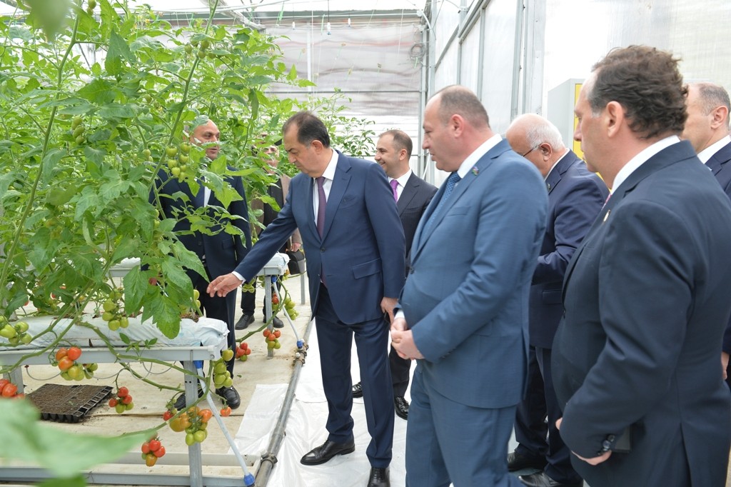 Lənkəranda Təhsil Forumu keçirilib - FOTOLAR