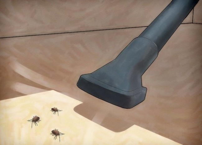 Bu zərərvericiləri əllə toplayıb məhv edin - FOTOLAR