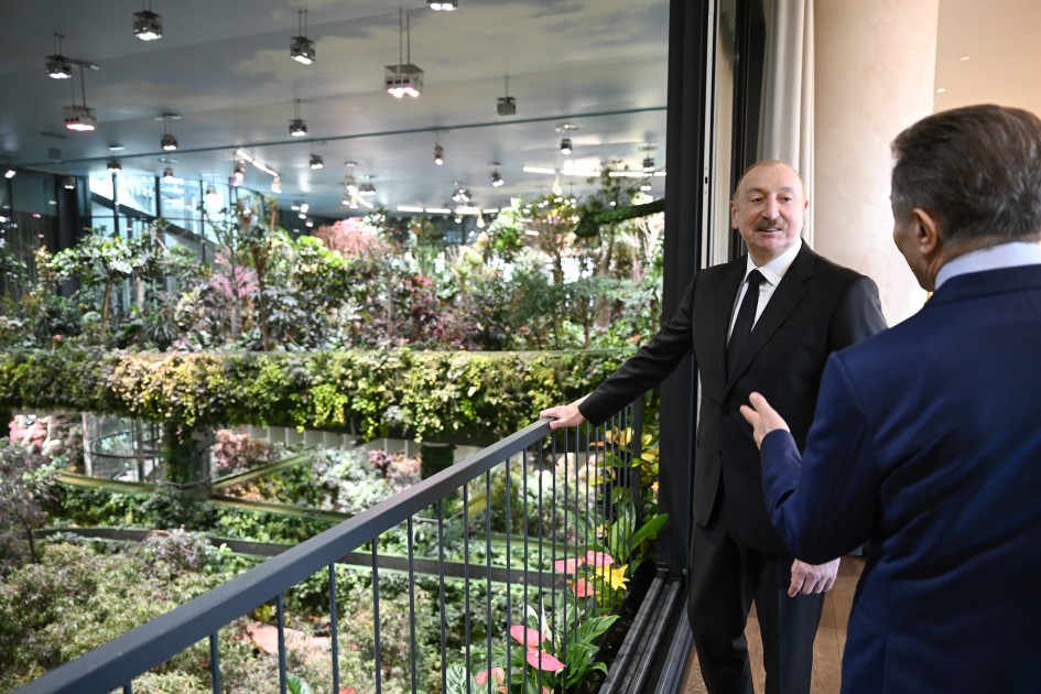 Azərbaycan Prezidentinin şərəfinə lanç verildi - FOTOLAR