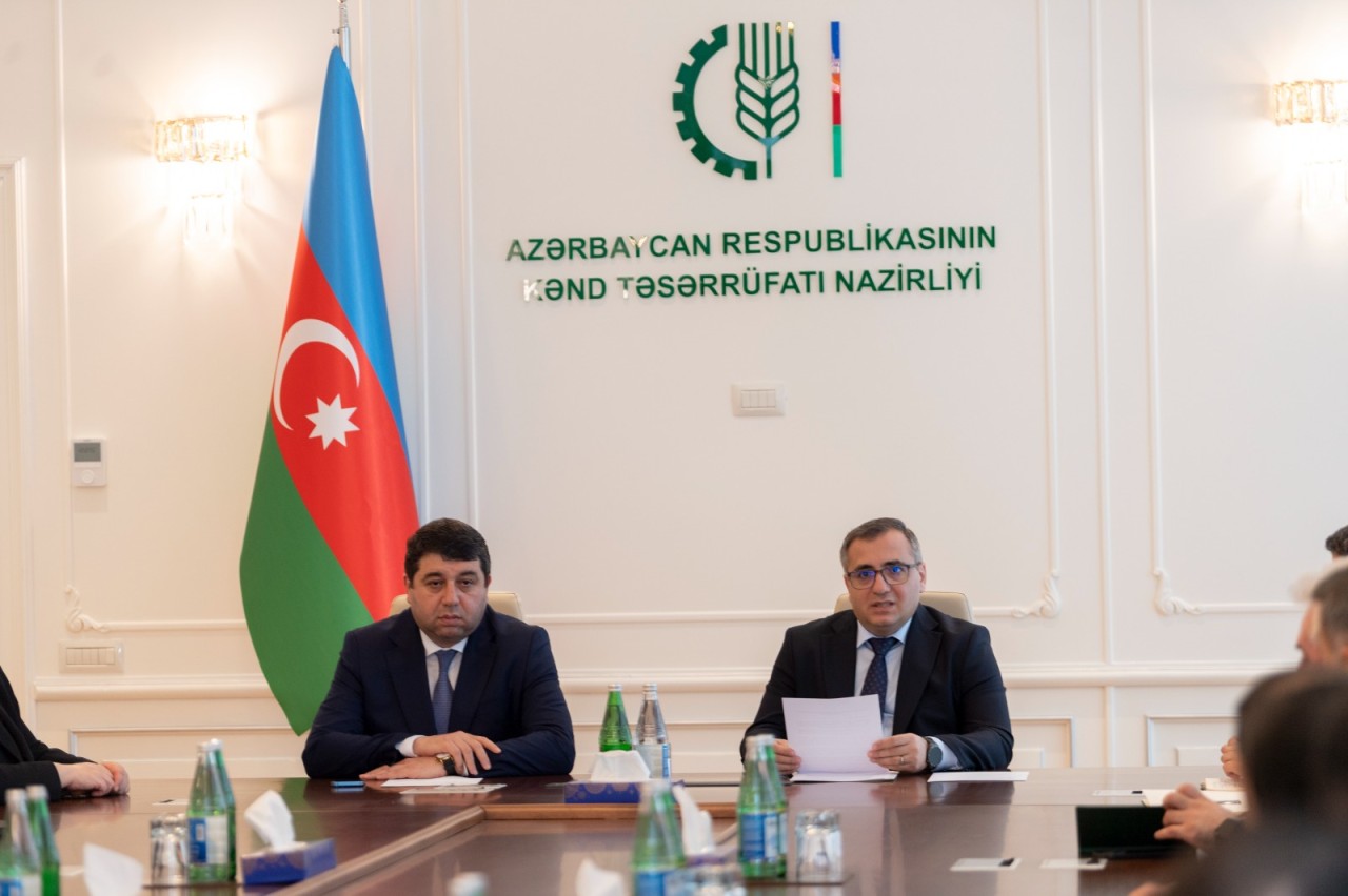 “Yeni Azərbaycan Partiyası: İnkişaf və nüfuzun təməl gücü”