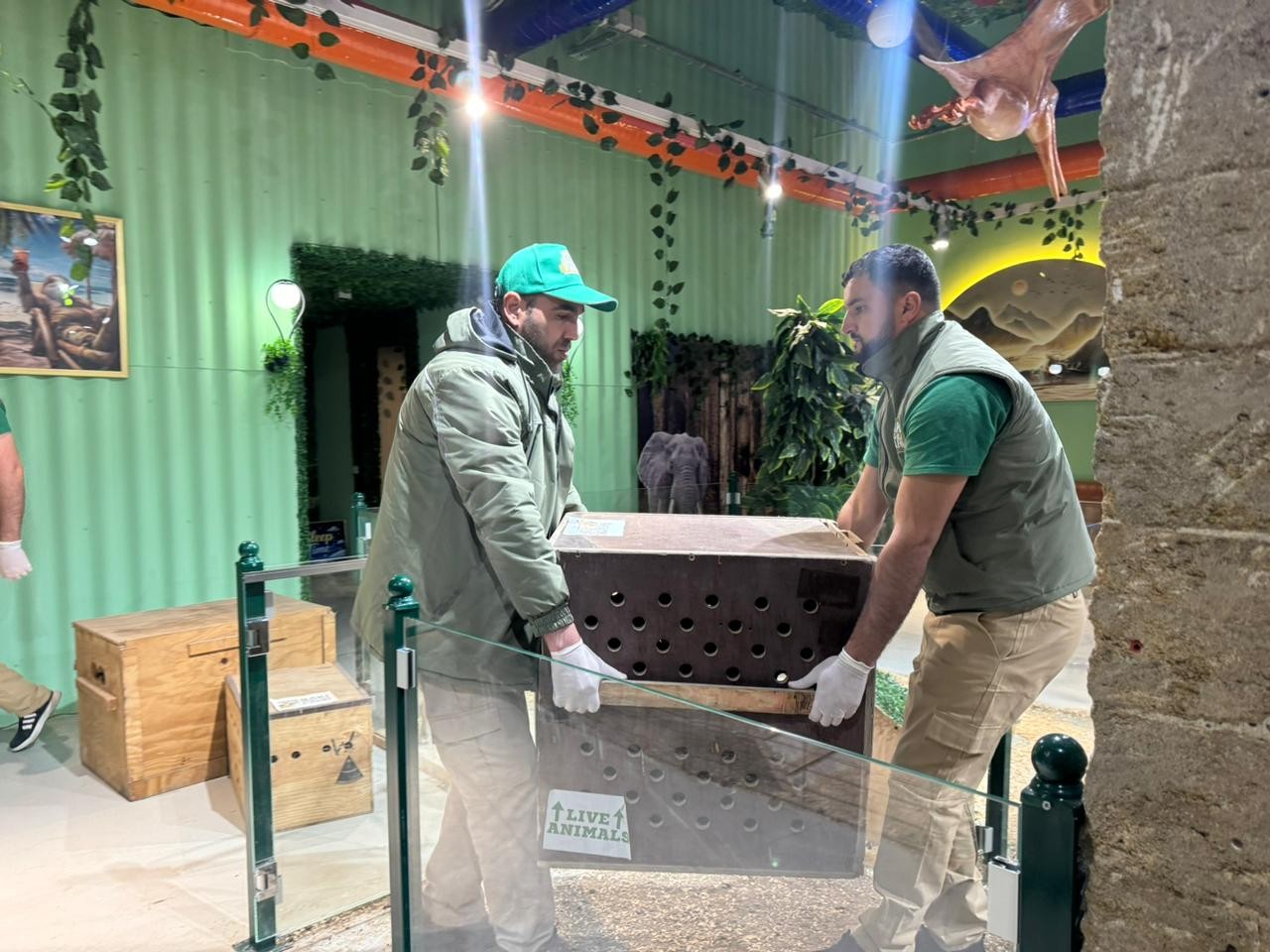 Qanunsuz saxlanılan vəhşi heyvanlar xilas edildi - FOTOLAR