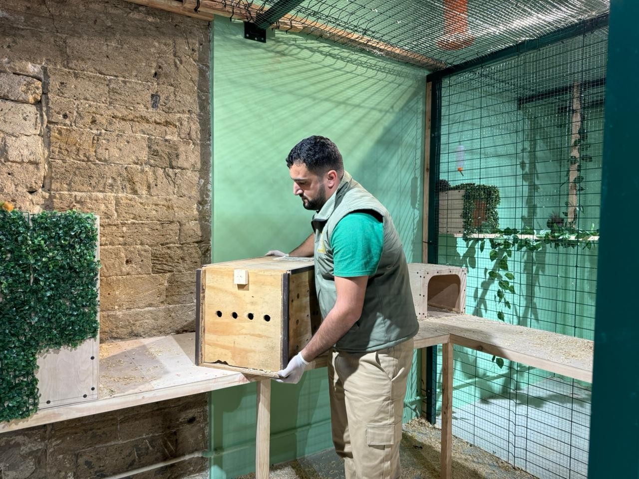 Qanunsuz saxlanılan vəhşi heyvanlar xilas edildi - FOTOLAR