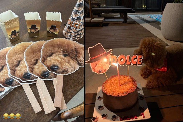 Nəsrin Cavadzadə iti üçün dəbdəbəli ad günü keçirdi - FOTOLAR