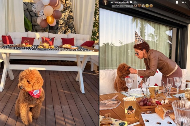 Nəsrin Cavadzadə iti üçün dəbdəbəli ad günü keçirdi - FOTOLAR