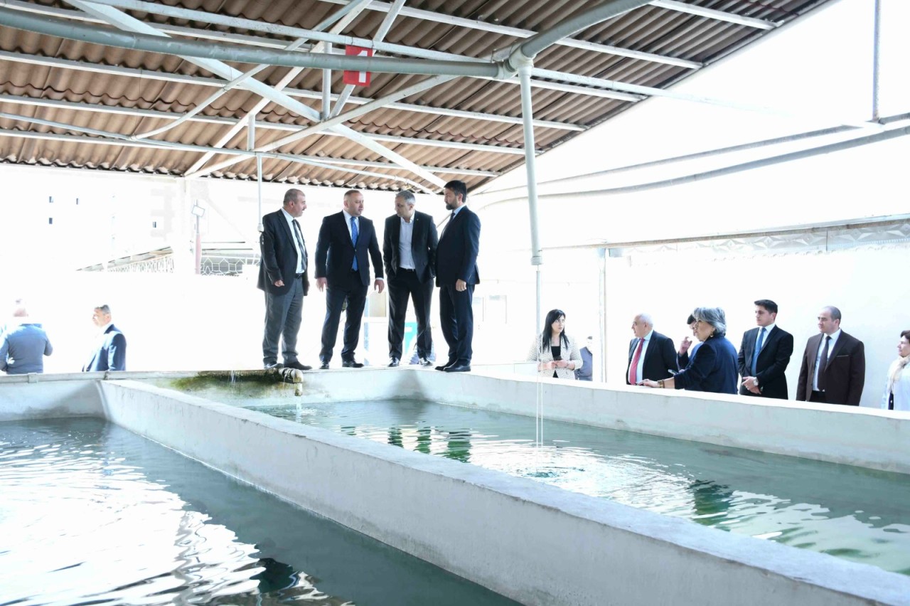 KTN yanında İctimai Şuranın üzvləri ADAU-da - FOTOLAR