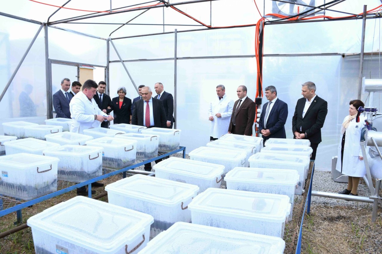 KTN yanında İctimai Şuranın üzvləri ADAU-da - FOTOLAR