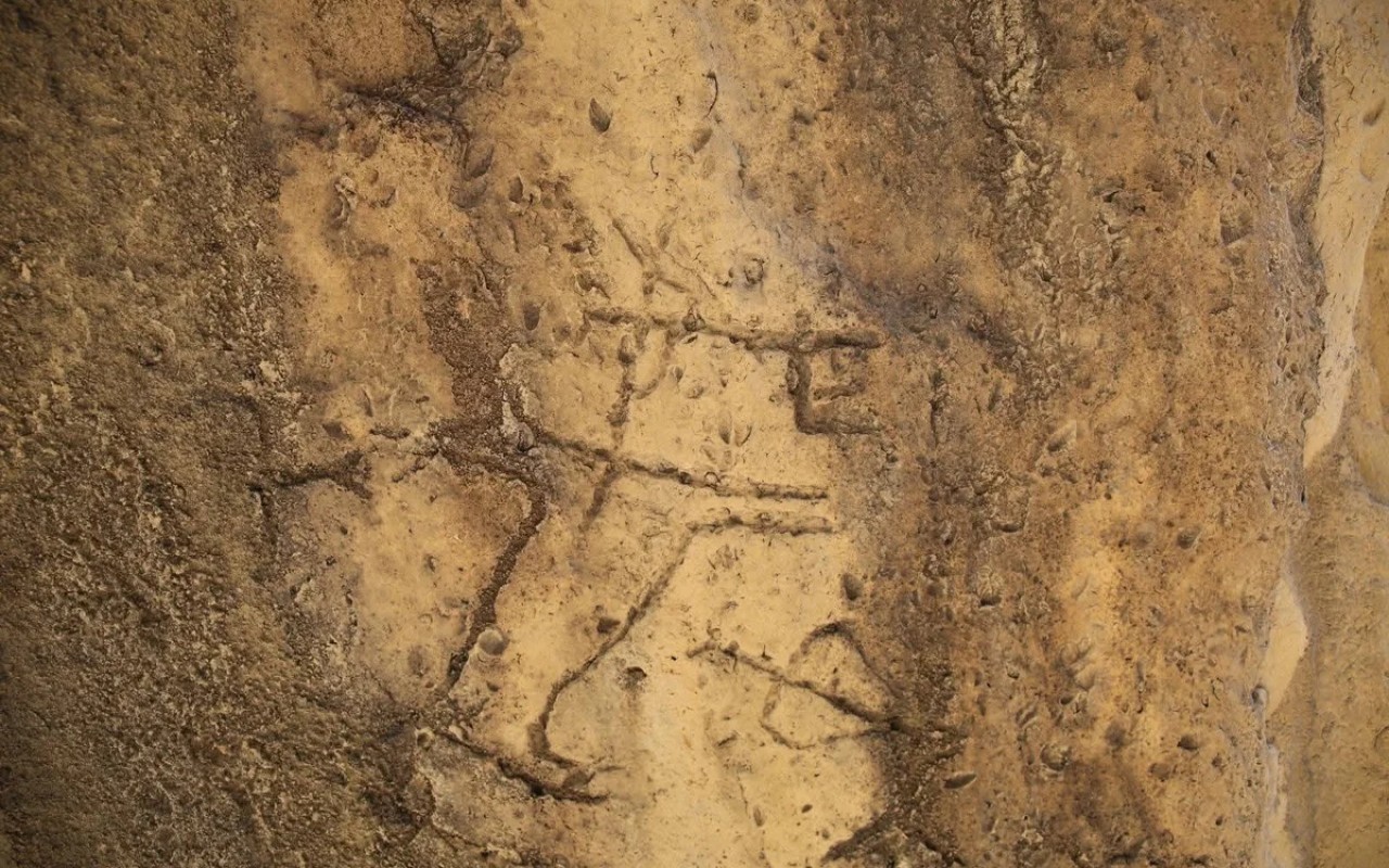 Qobustanda yeni qayaüstü təsvirlər aşkarlanıb