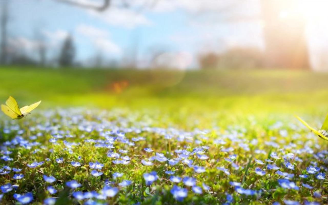 Sabah 22° isti olacaq