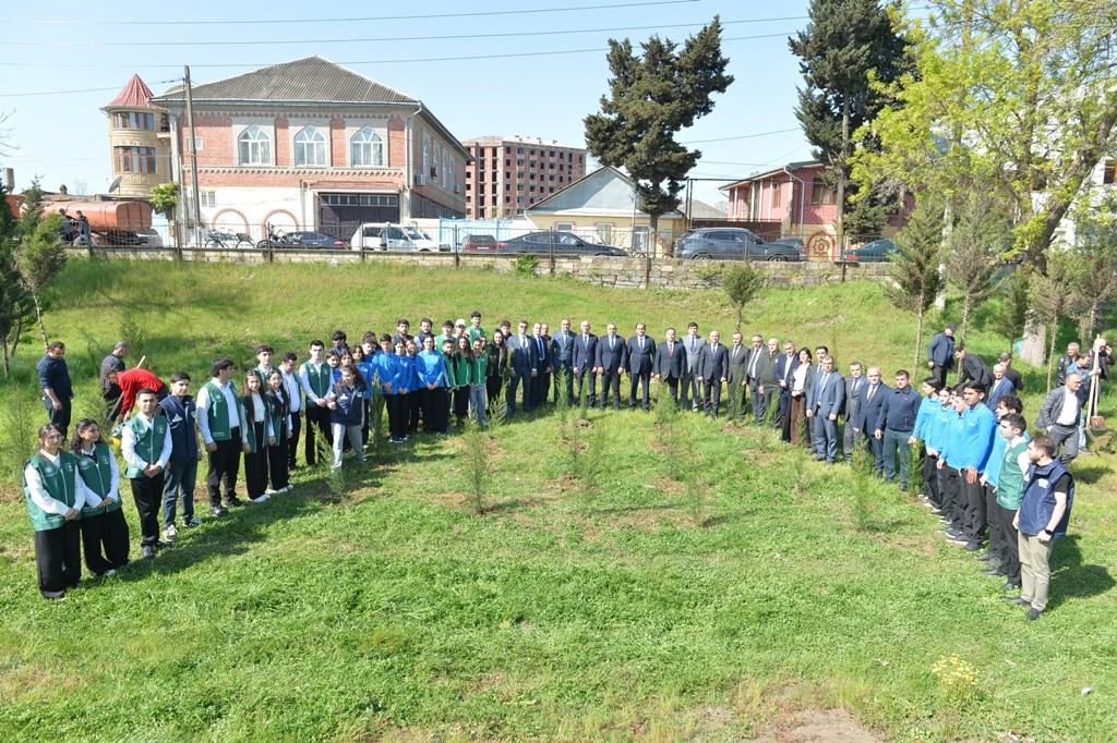 Lənkəranda növbəti ağacəkmə aksiyası keçirildi - FOTOLAR