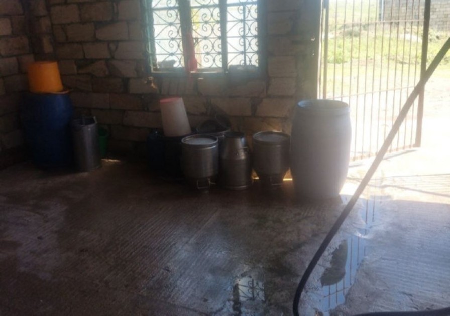 Beyləqanda süd qəbulu məntəqəsində nöqsanlar aşkarlandı - FOTOLAR