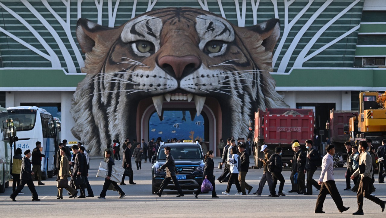 Dünyada baş verənlərə bir də belə baxın  