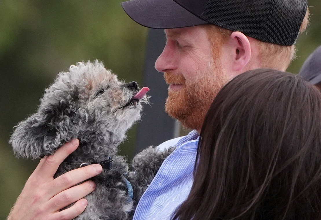 Dünyada baş verənlərə bir də belə baxın  