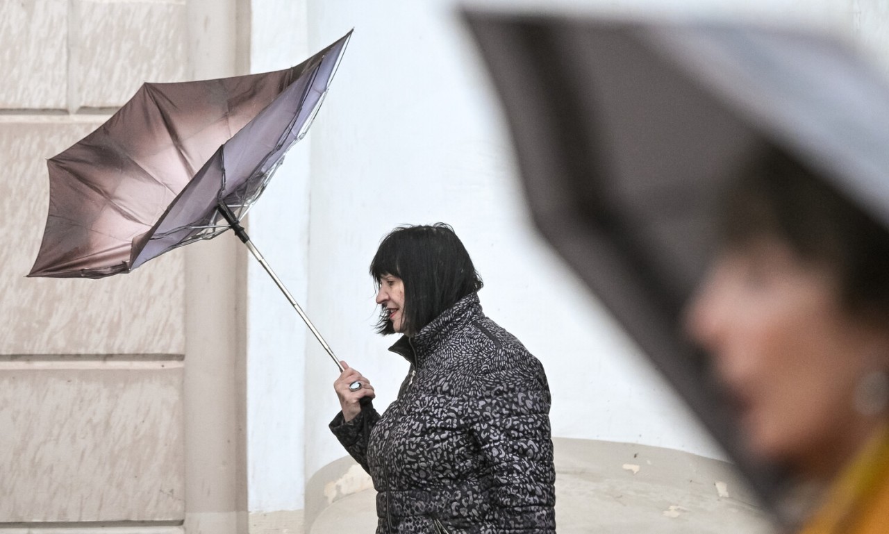 Dünyada baş verənlərə bir də belə baxın  