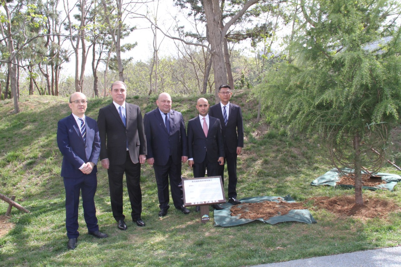 Niyazi Bayramov Çindaoda beynəlxalq dostluq xiyabanına ağac əkib - FOTOLAR