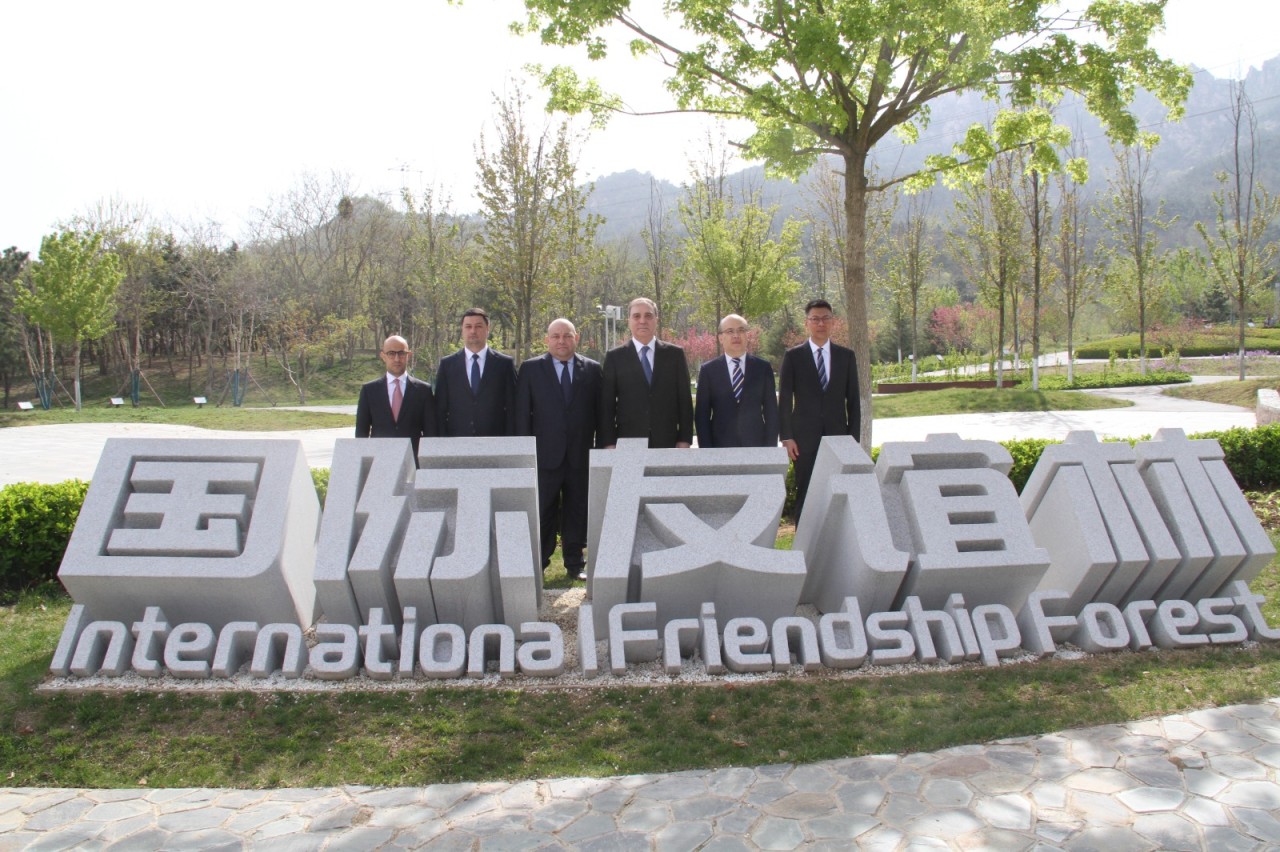 Niyazi Bayramov Çindaoda beynəlxalq dostluq xiyabanına ağac əkib - FOTOLAR