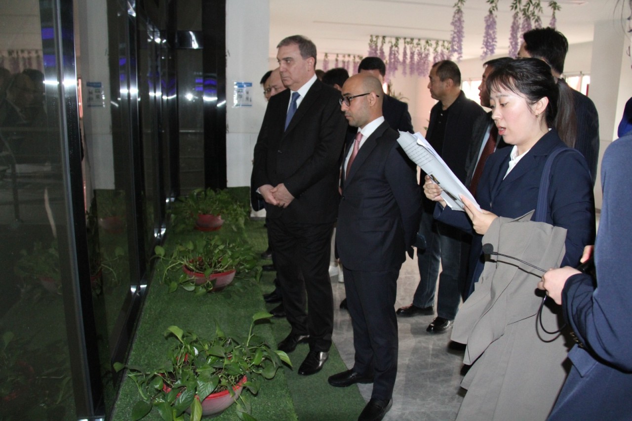 Niyazi Bayramov Çindaoda səfərdədir - FOTOLAR