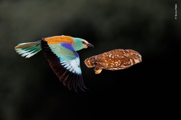 Təbiətin içindən olan maraqlı FOTOLAR