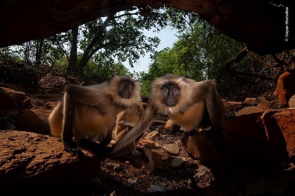 Təbiətin içindən olan maraqlı FOTOLAR