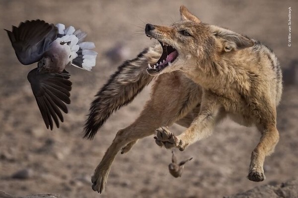 Təbiətin içindən olan maraqlı FOTOLAR