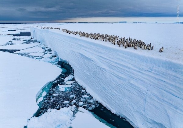 Təbiətin içindən olan maraqlı FOTOLAR