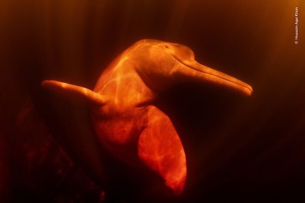 Təbiətin içindən olan maraqlı FOTOLAR